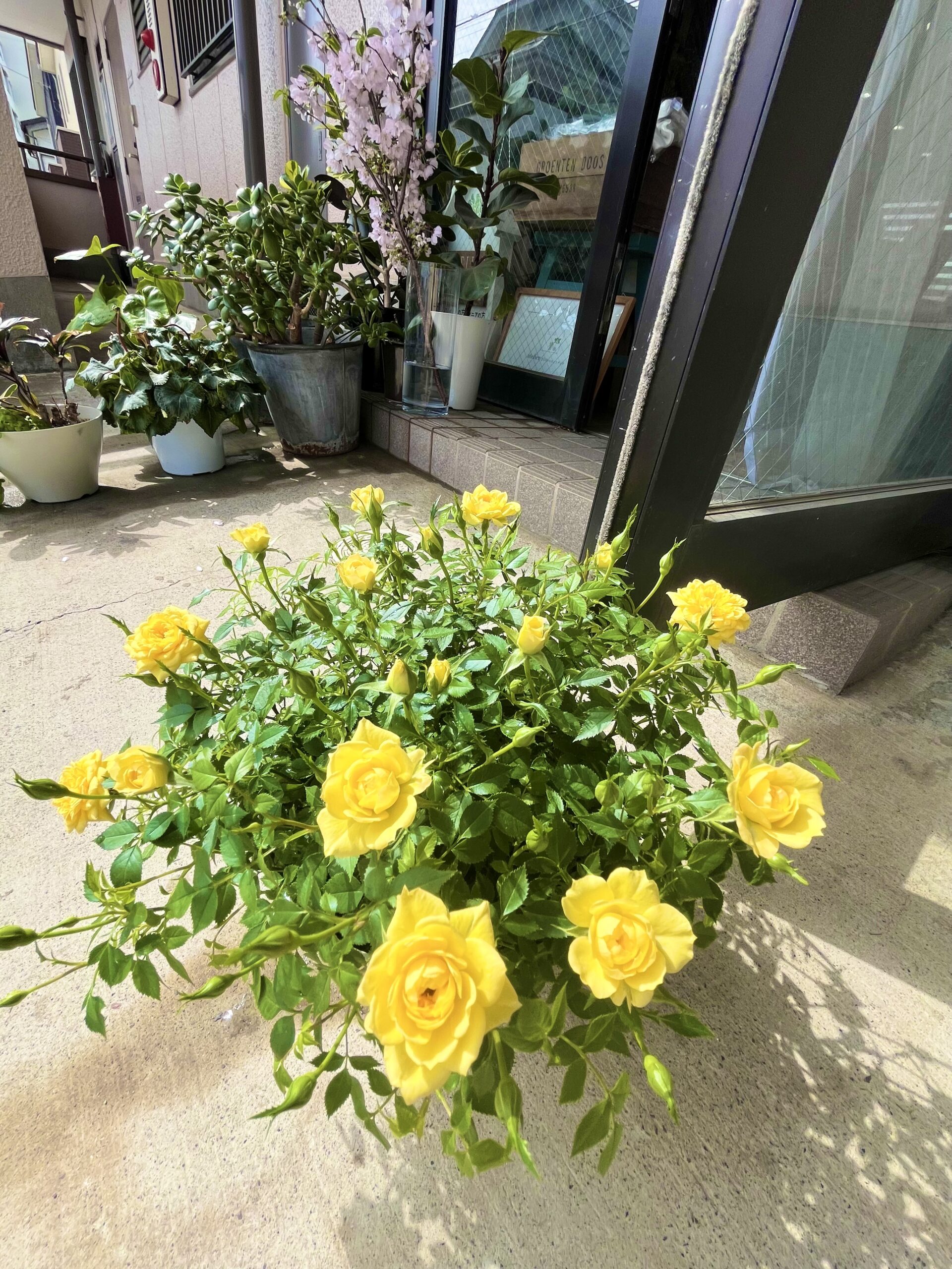 FA7147FE-1474-41B9-A82F-9559B9F9A1DB